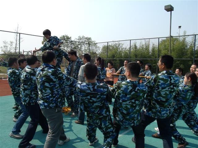 团队同心圆
